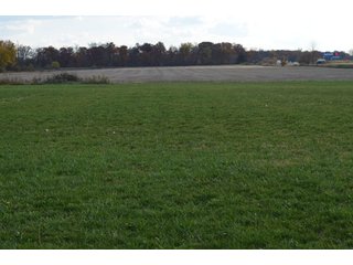 Property photo 88 - 127 Acres Offered in 8 Tracts - Allen & Dekalb County Land